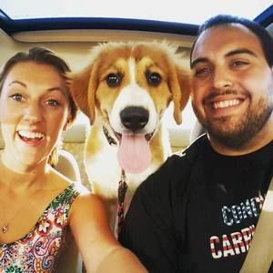 Meet your Posher, Sean